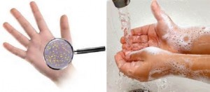 Keep Hands Clean to Overcome Diseases