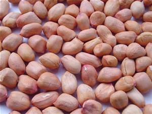 Groundnut Remedies for diabetes