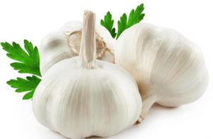 Garlic Health