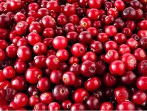 Best Benefits of cranberries for health skin and immune system