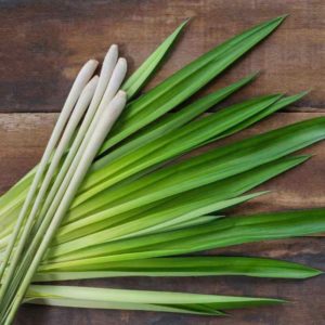 Best Benefits of Lemongrass for Beauty and Health
