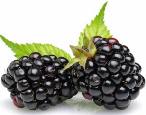 Health and Beauty Benefits of Blackberries