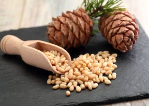 Pine nuts Health benefits and disadvantages