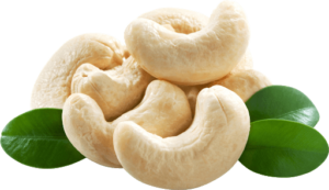 Cashew Nuts Health benefits